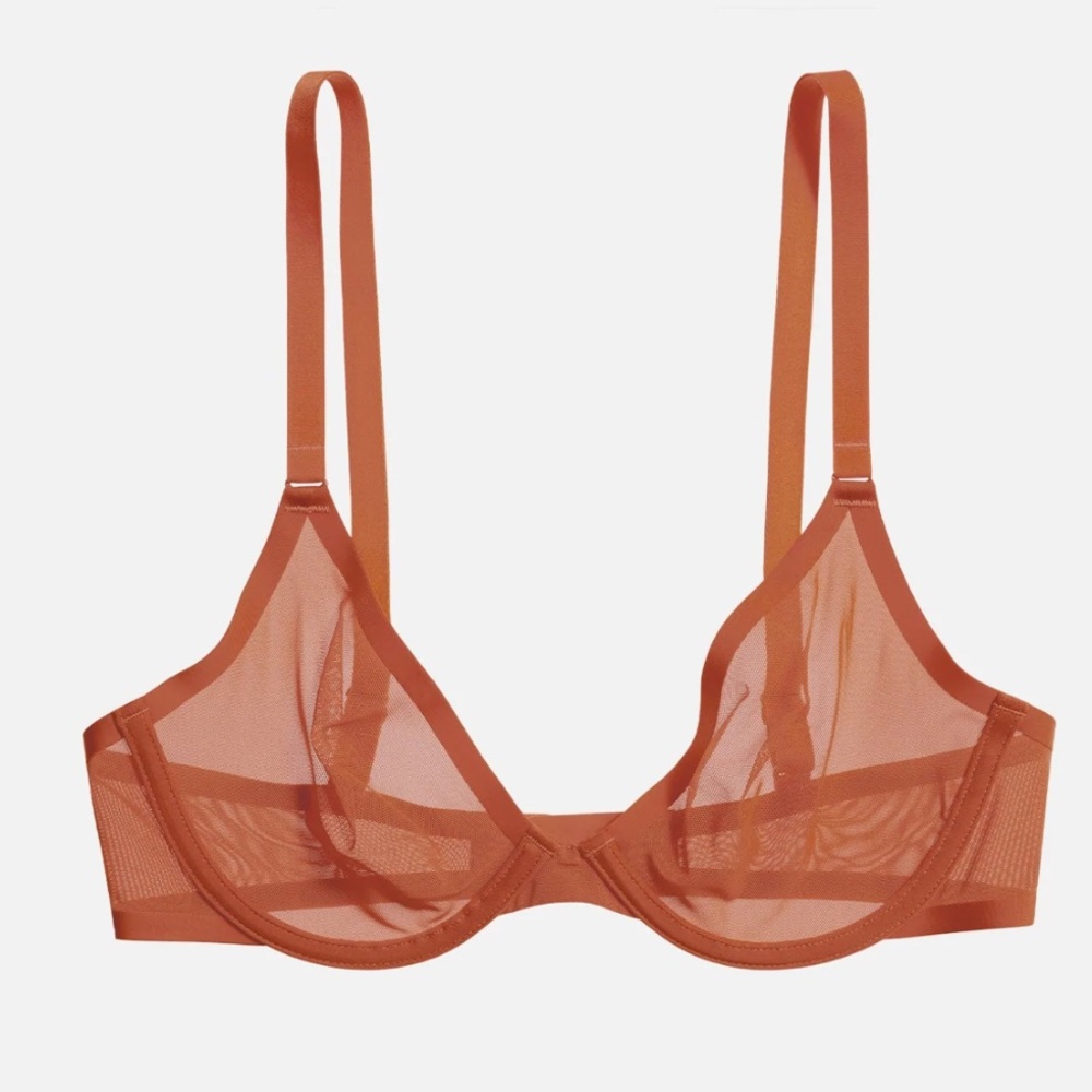 SKIMS NWT Ultrafine Mesh Bra size 32DD/32E in Chili